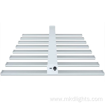 6500K Grow light 800W For Indoor Plant